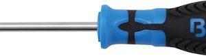 BGS 4920 Wkrętak profil T (do Torx) T25 długość ostrza 100 mm BGS 4920 Wkrętak profil T (do Torx) T25 długość ostrza 100 mm