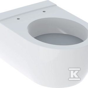 Miska wisząca WC iCon, lejowa 204000000