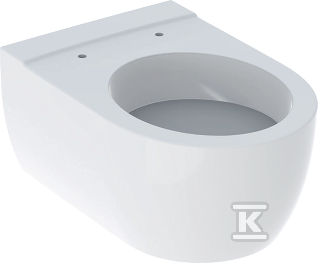 Miska wisząca WC iCon, lejowa 204000000 - obrazek 1