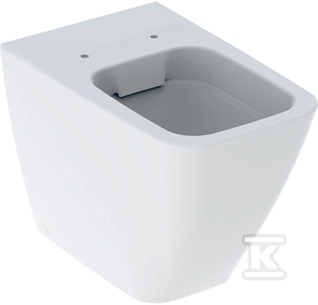 Miska stojąca WC iCon Square z ceramiczną muszą toaletową, przylegająca do ściany, kryte mocowania, Rimfree 211910000 - obrazek 1