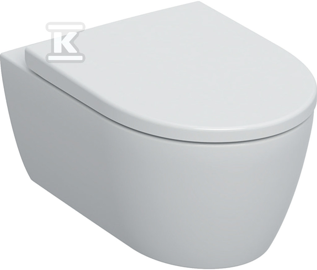 Miska wisząca WC iCon lejowa ukryte mocowania Rimfree 53 cm Biały-alpin / Matowy zestaw z deską 501.663.JT.1 - obrazek 1