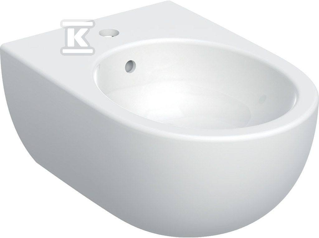Selnova Premium Bidet wiszący, B36cm, H26cm, T53cm, ukryte mocowania, z przelewem, z otworem na baterię 501.993.00.1 - obrazek 1