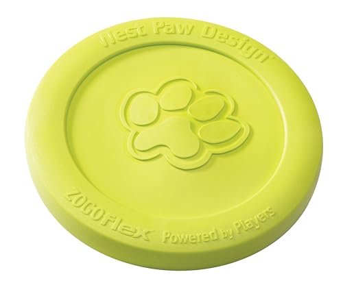 WEST PAW 27572 Mini Zisc, Lime - obrazek 1