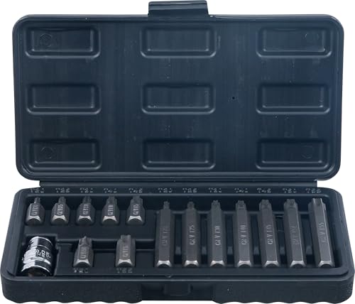 BGS Diy 5040 Zestaw bitów napęd 10 mm (3/8″) profil T (do Torx) 15 szt.