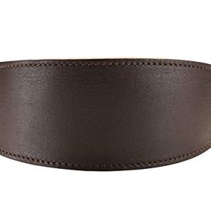 Hunter Super Soft obroża dla psa z zabezpieczeniem przed wiatrem, skórzana, wyściełana, 32 (XS), ciemnobrązowa Hunter Super Soft obroża dla psa z zabezpieczeniem przed wiatrem, skórzana, wyściełana, 32 (XS), ciemnobrązowa