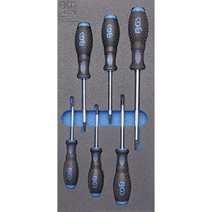 BGS 4078 Wkładka do szuflady 1/3: wkrętaki profil T (do Torx) 6 szt. BGS 4078 Wkładka do szuflady 1/3: wkrętaki profil T (do Torx) 6 szt.