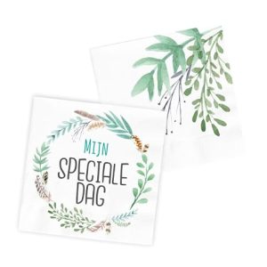 Folat 66955 Serwetek 'Mijn Speciale Dag’ 33x33cm 20 stzuk Folat 66955 Serwetek 'Mijn Speciale Dag’ 33x33cm 20 stzuk