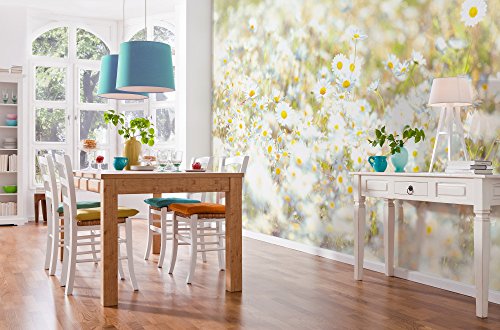 Komar Fototapeta DAISIES 368 x 254 cm tapeta, dekoracja ścienna, kwiaty, stokrotki, natura, łąka, sypialnia, salon 8 994 - obrazek 1