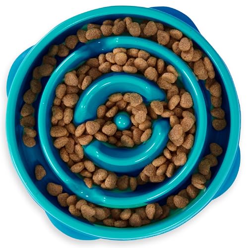 Fun Feeder Mini Miska Turkus