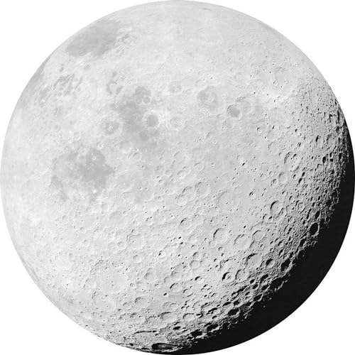 Komar D1 020 Dot, samoprzylepna i okrągła fototapeta, czarna, biała