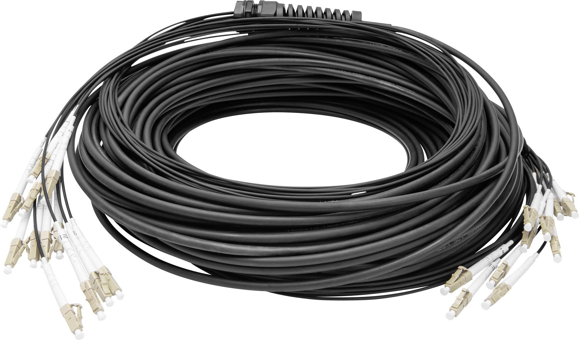 Digitus DK-2433CU100BK-BBB światłowodowe do światłowodów kabel 100 m czarny [12x złącze męskie LC/UPC - 12x złącze męski - obrazek 1