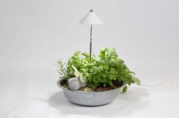 Lampa LED do roślin Venso E504 110 SUNLiTE 230 V LED wbudowany na stałe 7 W 1 szt.
