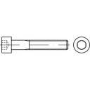 Śruba z łbem cylindrycznym TOOLCRAFT TO-5428107 M6 210 mm 100 szt. - obrazek 1