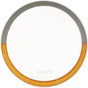 Bezprzewodowe rozszerzenie systemu alarmowego Somfy 2401491, 1 szt. Bezprzewodowe rozszerzenie systemu alarmowego Somfy 2401491, 1 szt.