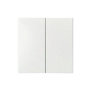 ELSO 273504 Przełącznik kołyskowy ELSO serii 273504/podwójny przycisk JOY rw 1 szt. ELSO 273504 Przełącznik kołyskowy ELSO serii 273504/podwójny przycisk JOY rw 1 szt.