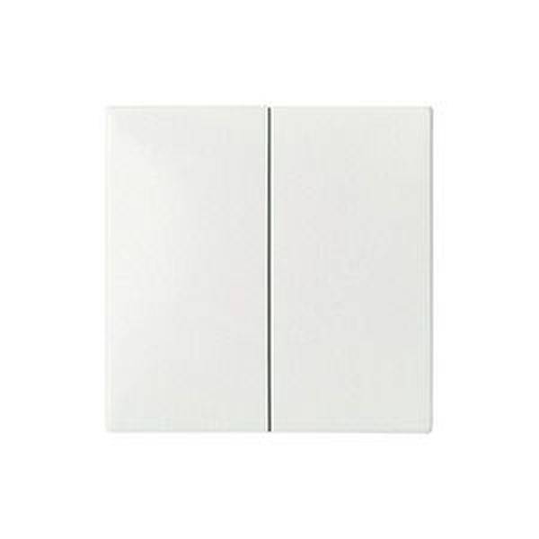 ELSO 273504 Przełącznik kołyskowy ELSO serii 273504/podwójny przycisk JOY rw 1 szt. - obrazek 1