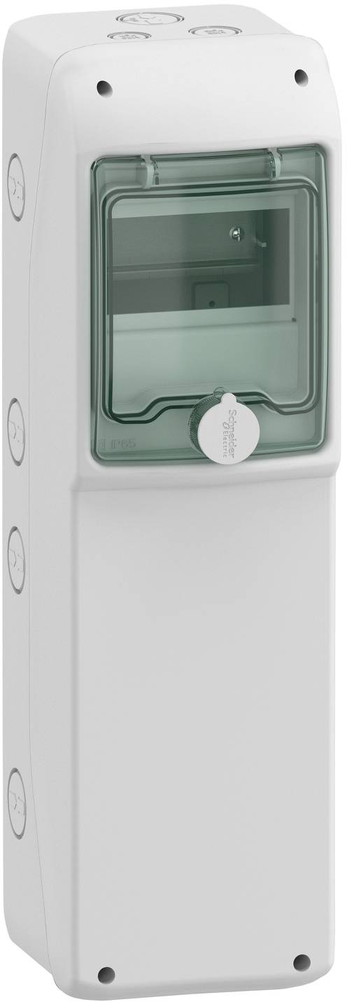 Szafka rozdzielcza Schneider Electric 13189, 138 mm x 460 mm x 160 mm, 1 szt. - obrazek 1