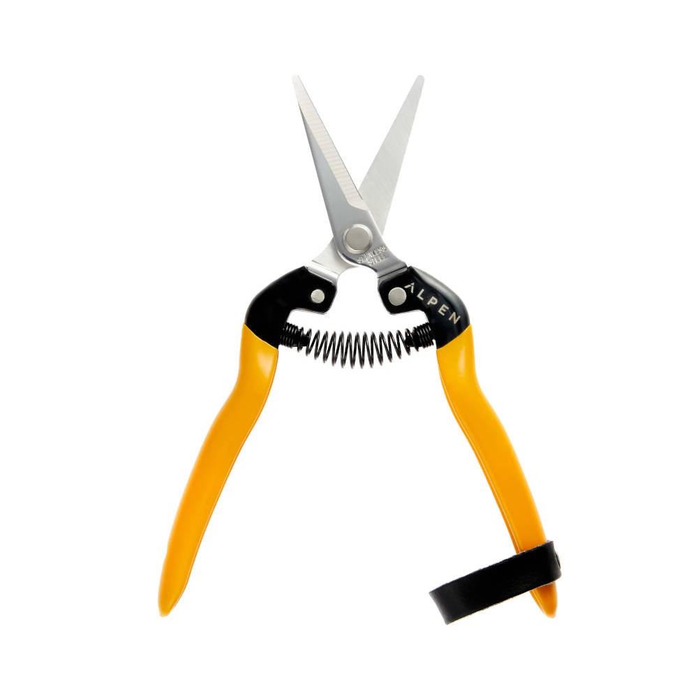 Sekator Alpen Rigi 300